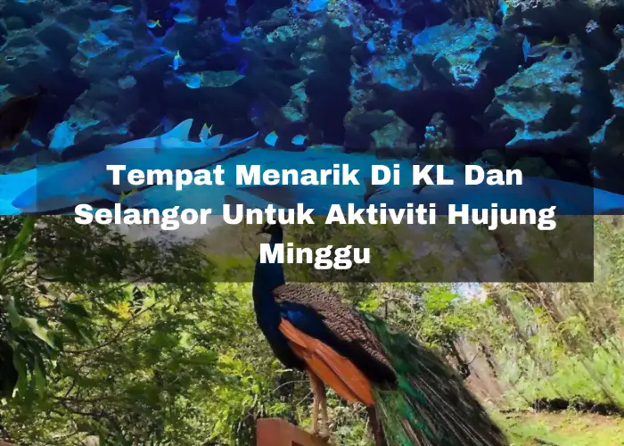 You are currently viewing 13 Tempat Menarik Di KL Dan Selangor Untuk Aktiviti Hujung Minggu