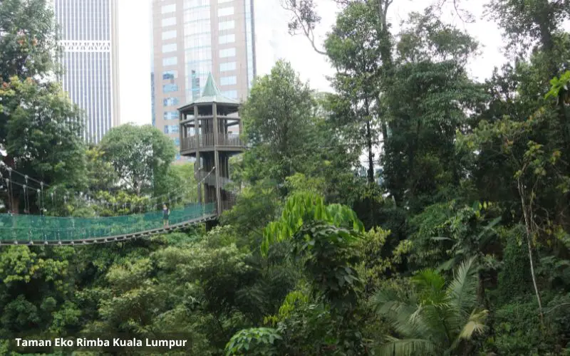 Taman Eko Rimba Kuala Lumpur