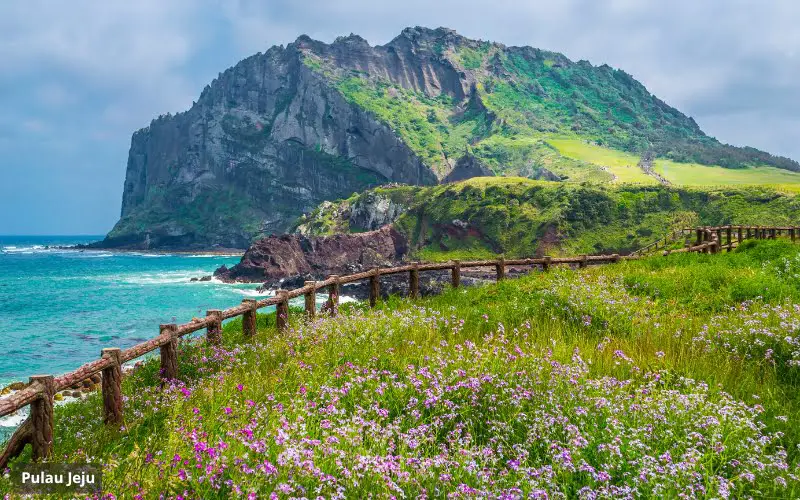 Pulau Jeju